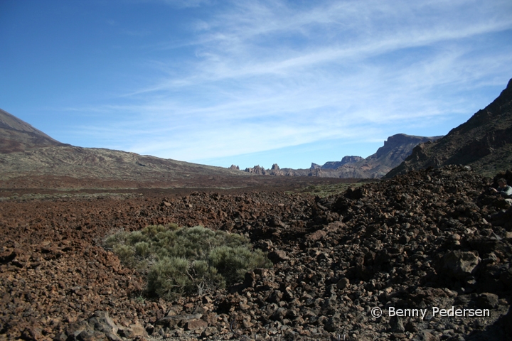 Las Canadas.jpg - Nationalpark Teide Las Canadas 